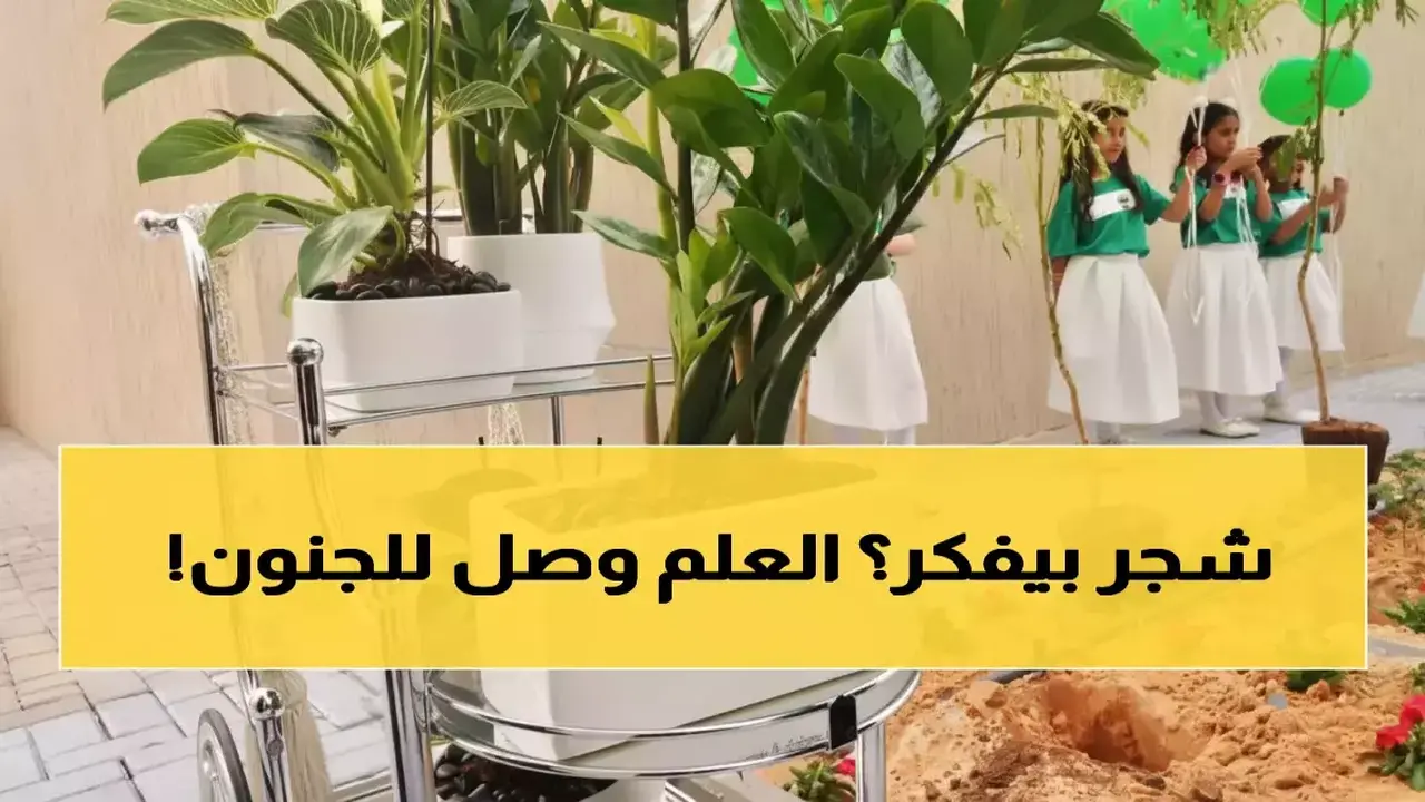 السعودية تطور أشجارًا ذكية ترسل تقارير عبر واتساب لصحة 25 ألف مدرسة محولة إلى غابات تفاعلية